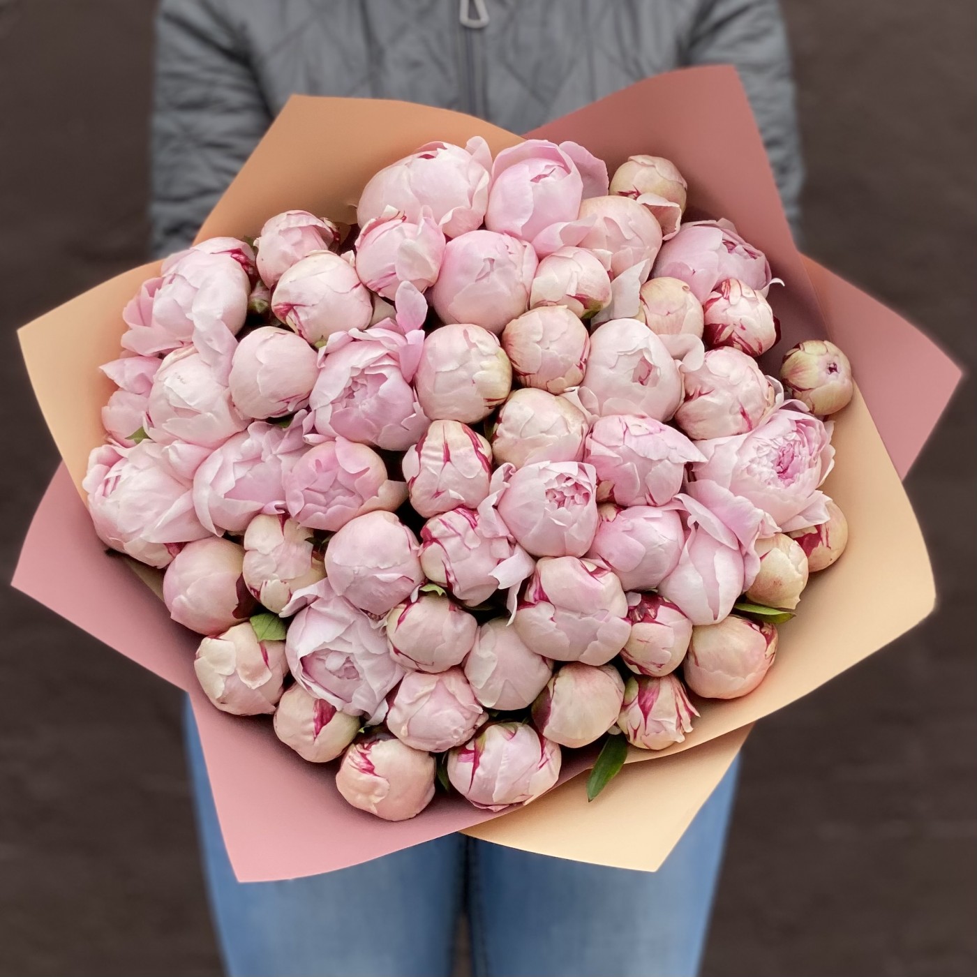 Акция! Букет из 51 розового пиона Сара Бернар