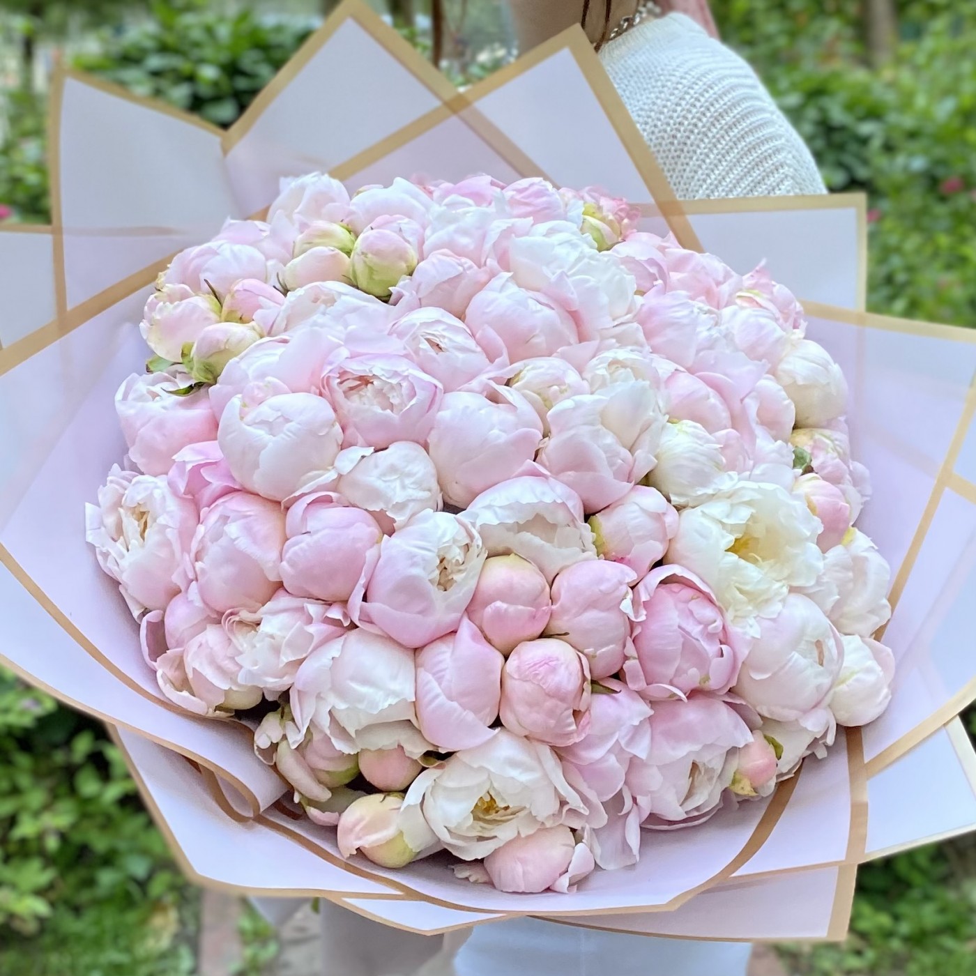 101 светло-розовый пион